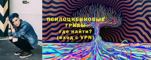 гидра Заводоуковск