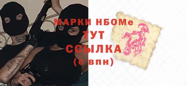 СК Ельня