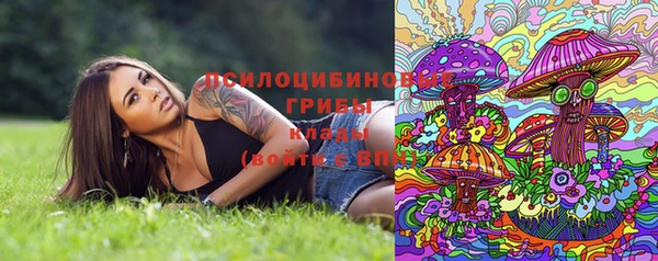 гидра Заводоуковск