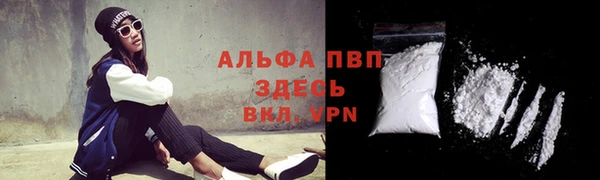 сатива Заволжье