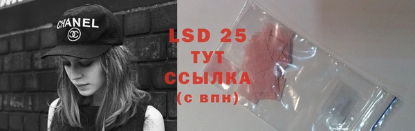 СК Ельня