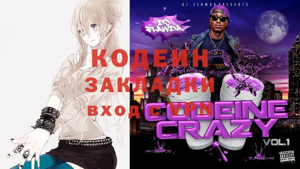 гидра Заводоуковск