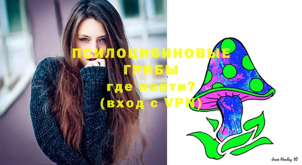 эйфоретик Щучье
