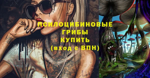 сатива Заволжье