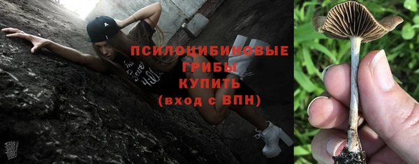 гидра Заводоуковск