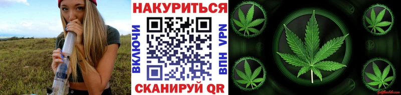 где купить   Катайск  Бошки Шишки White Widow 